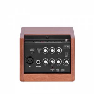 Amplificatore per chitarra acust ACUS One ForStrings 4 Ferdi Wood