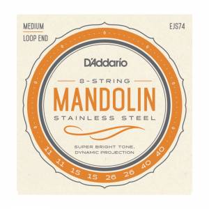  D'ADDARIO