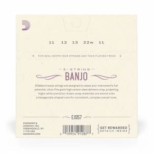  D'ADDARIO