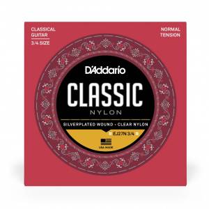 D'ADDARIO