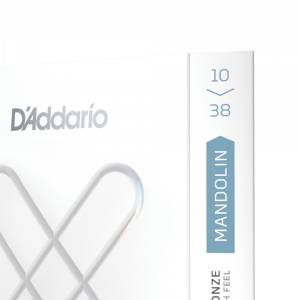  D'ADDARIO