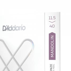  D'ADDARIO