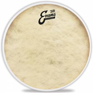pelle per batteria EVANS Calftone 12"