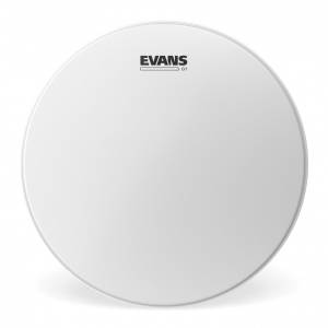 Pelle per batteria EVANS G1 18" Coated