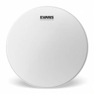 pelle per batteria EVANS G1 20" Coated