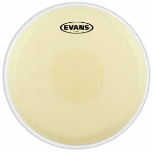 EVANS