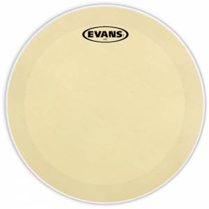  EVANS