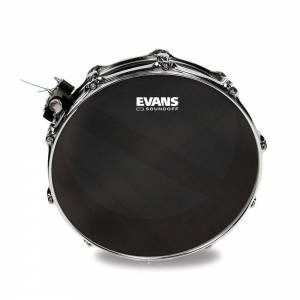  EVANS