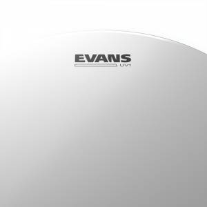  EVANS