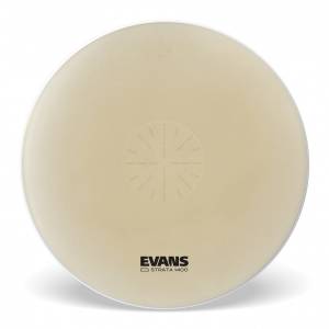  EVANS