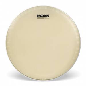  EVANS
