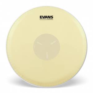  EVANS
