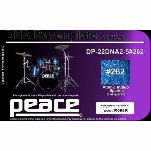  PEACE DP-22DNA2.5#262