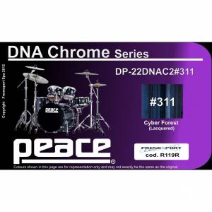  PEACE DP-22DNAC2#311