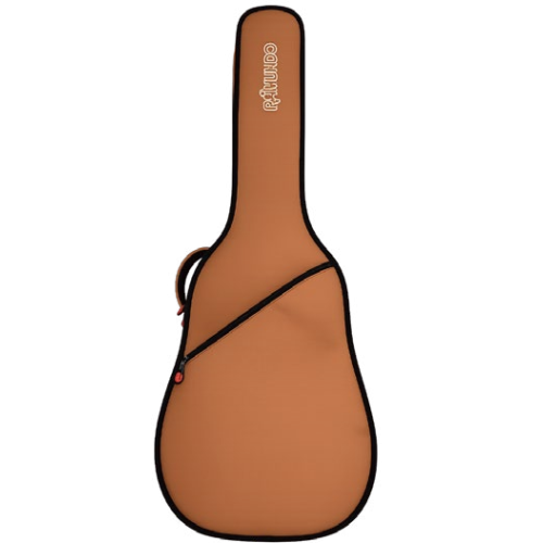 Chitarra classica elettrificata RAIMUNDO R100 C CWE M