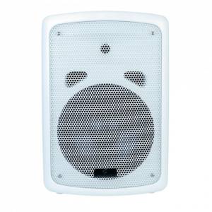  SOUNDSATION SPWM-08P-WH
